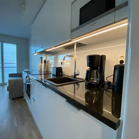 Toimiva Uusi Yksioe Keskustassa Apartament Turku