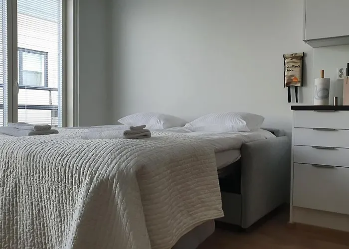 Toimiva Uusi Yksioe Keskustassa Апартаменты Турку